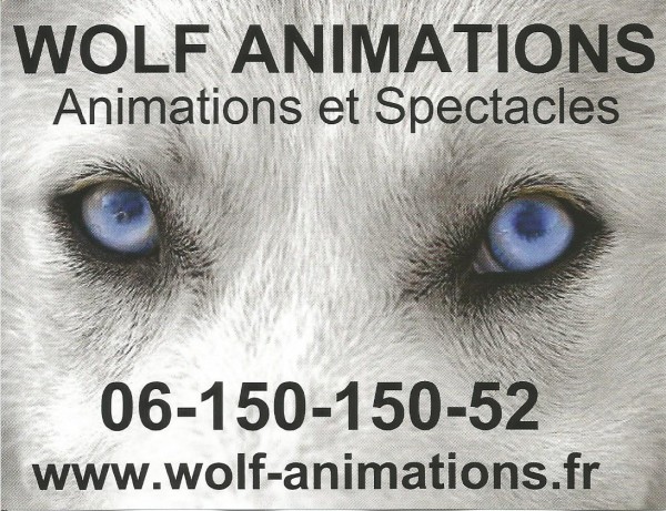Logo Wolf Animation IRIX VR irixvr troyes sens vr realite virtuelle